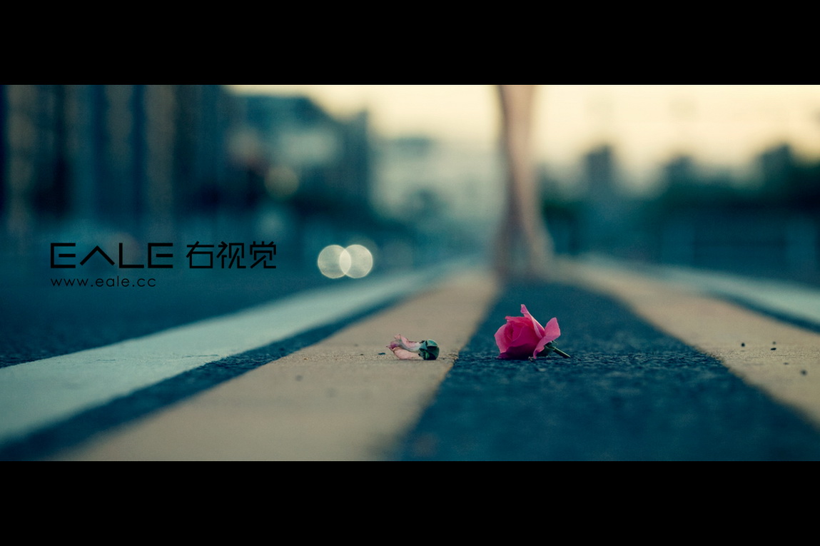 狐尘11