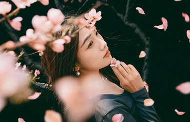 桃花落尽 温柔未改